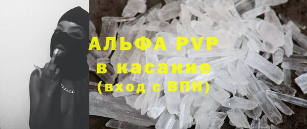 стафф Ельня
