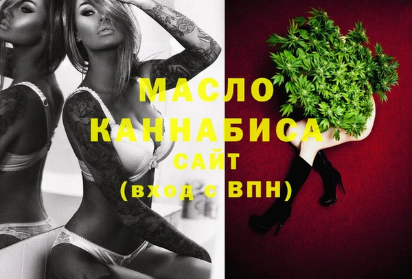 стафф Ельня
