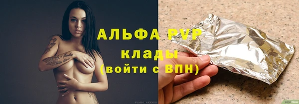 стафф Ельня