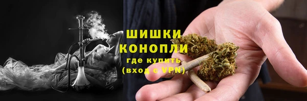 стафф Ельня