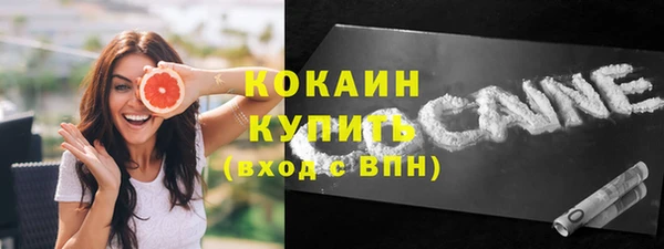стафф Ельня