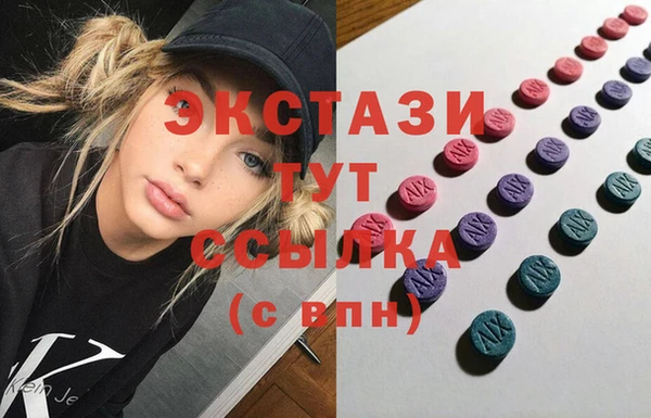 стафф Ельня