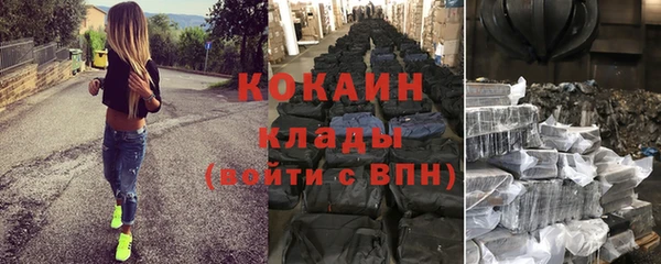 стафф Ельня