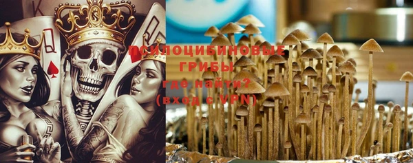 стафф Ельня