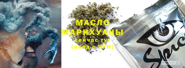 стафф Ельня