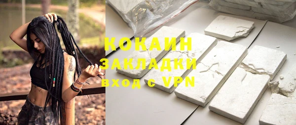 стафф Ельня