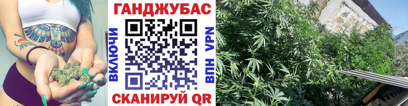 Купить где Кашира Шишки марихуана гибрид